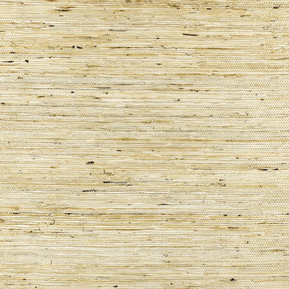 SONOTA ARROWROOT_ OATMEAL