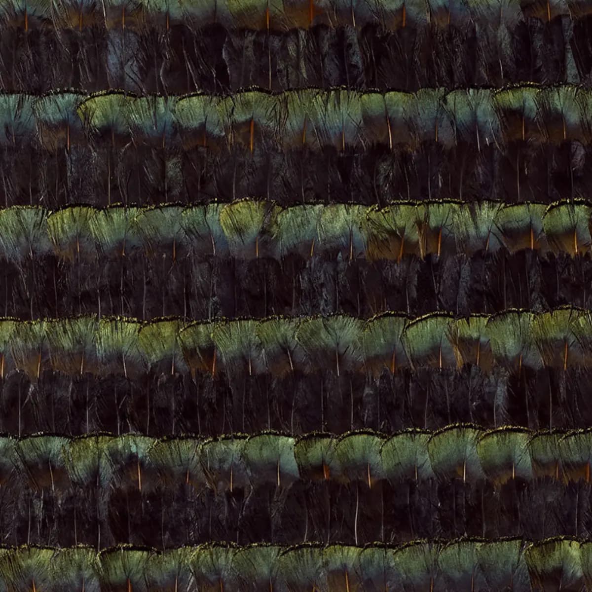 BRADBURY_ MALACHITE