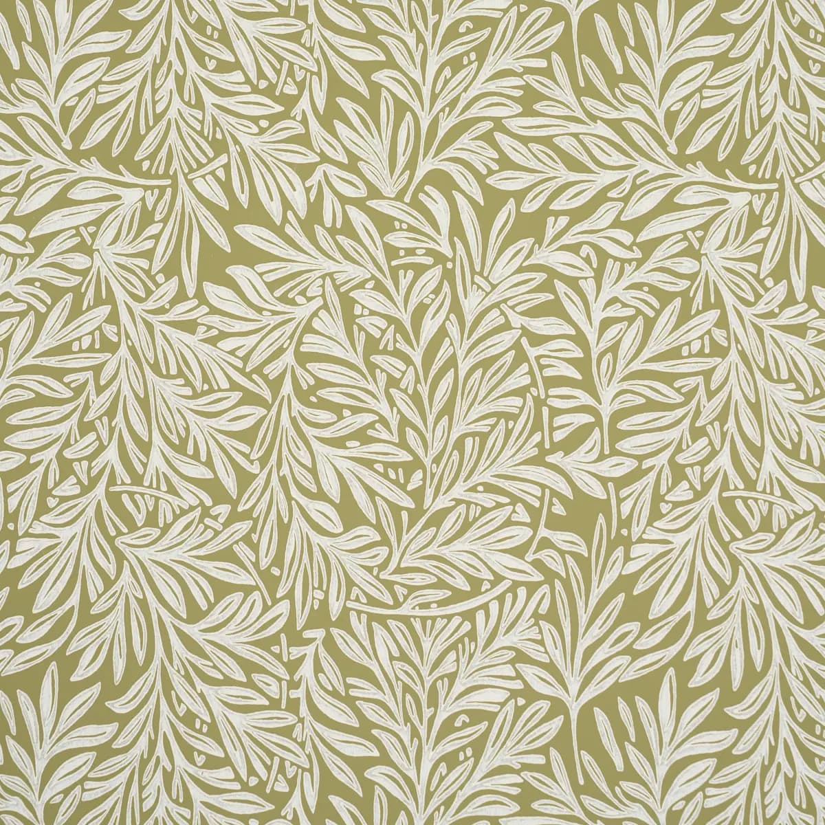 WILLOW LEAF_ MOSS