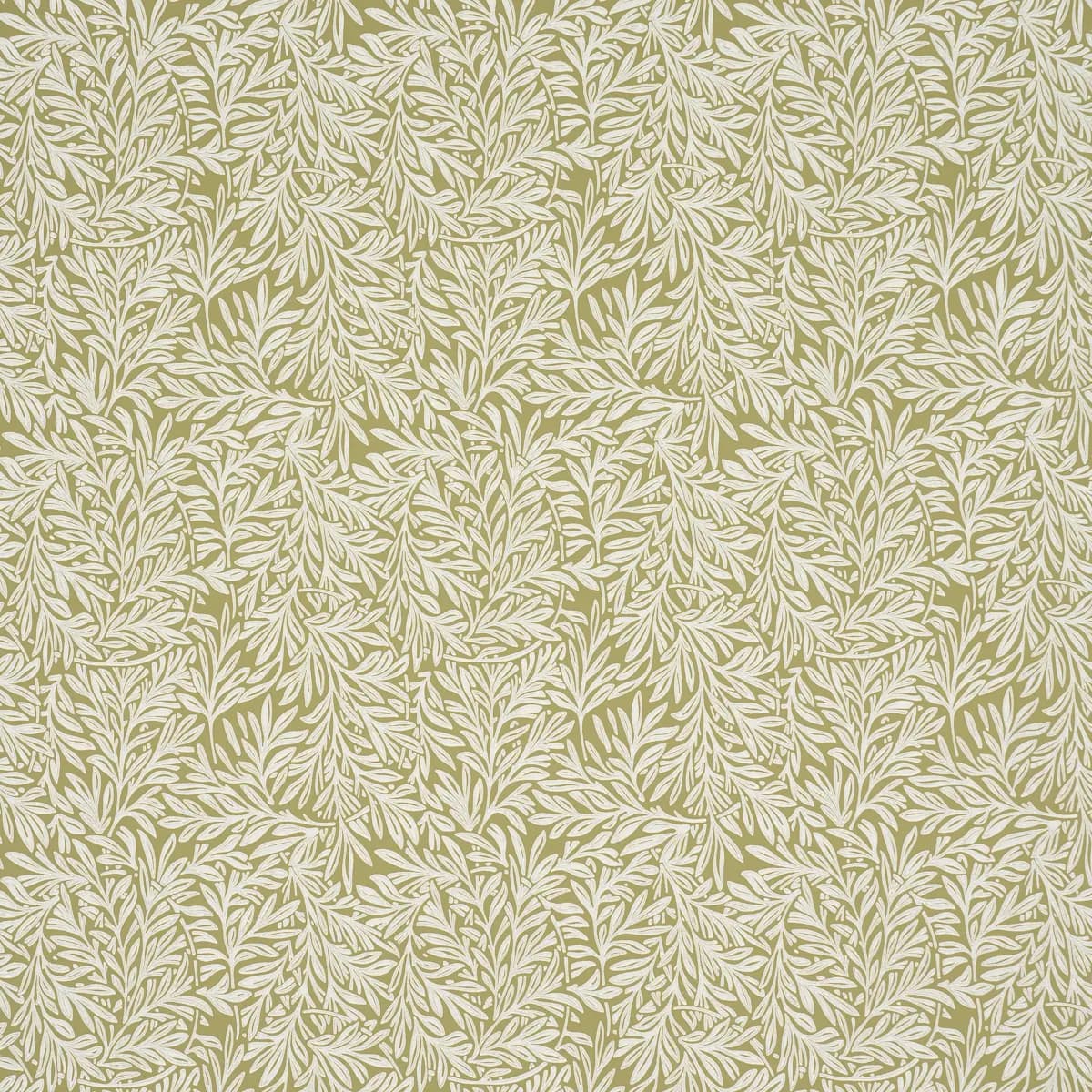 WILLOW LEAF_ MOSS