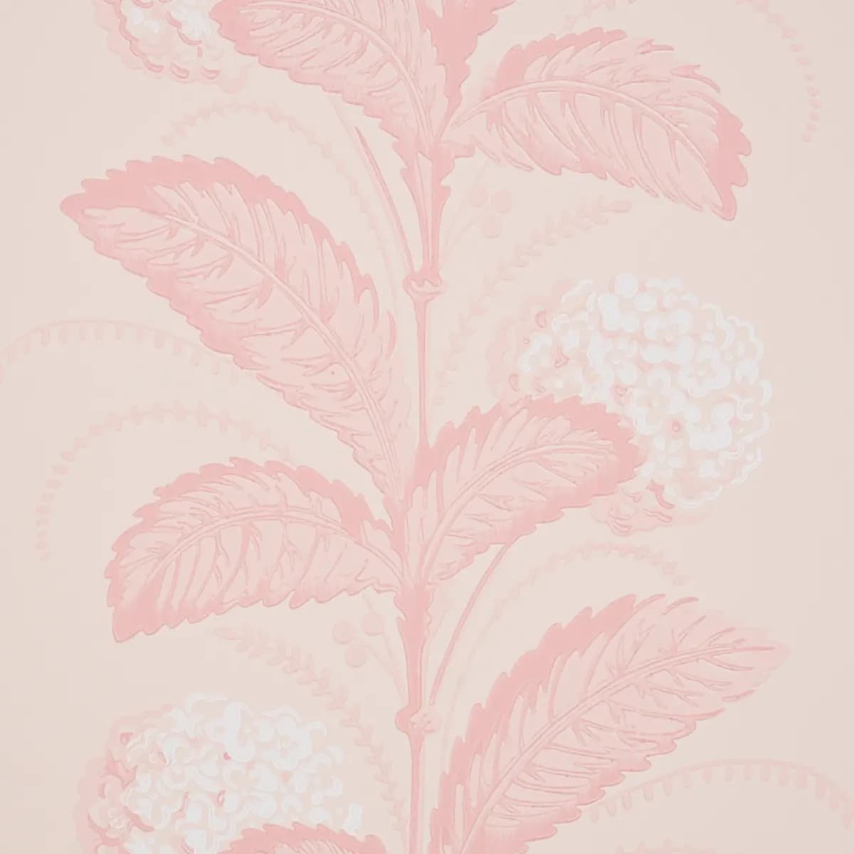 HYDRANGEA DRAPE_ BLUSH