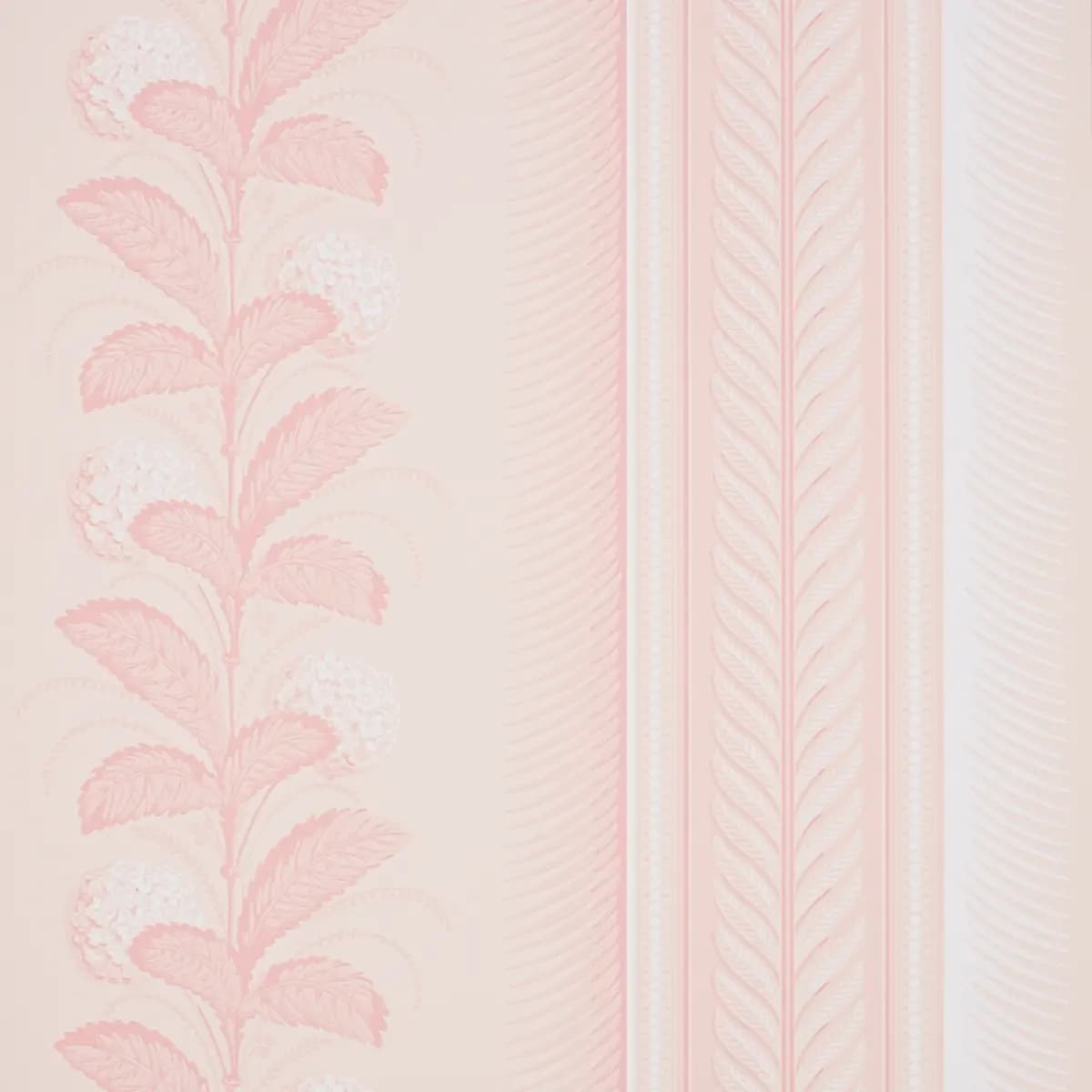 HYDRANGEA DRAPE_ BLUSH