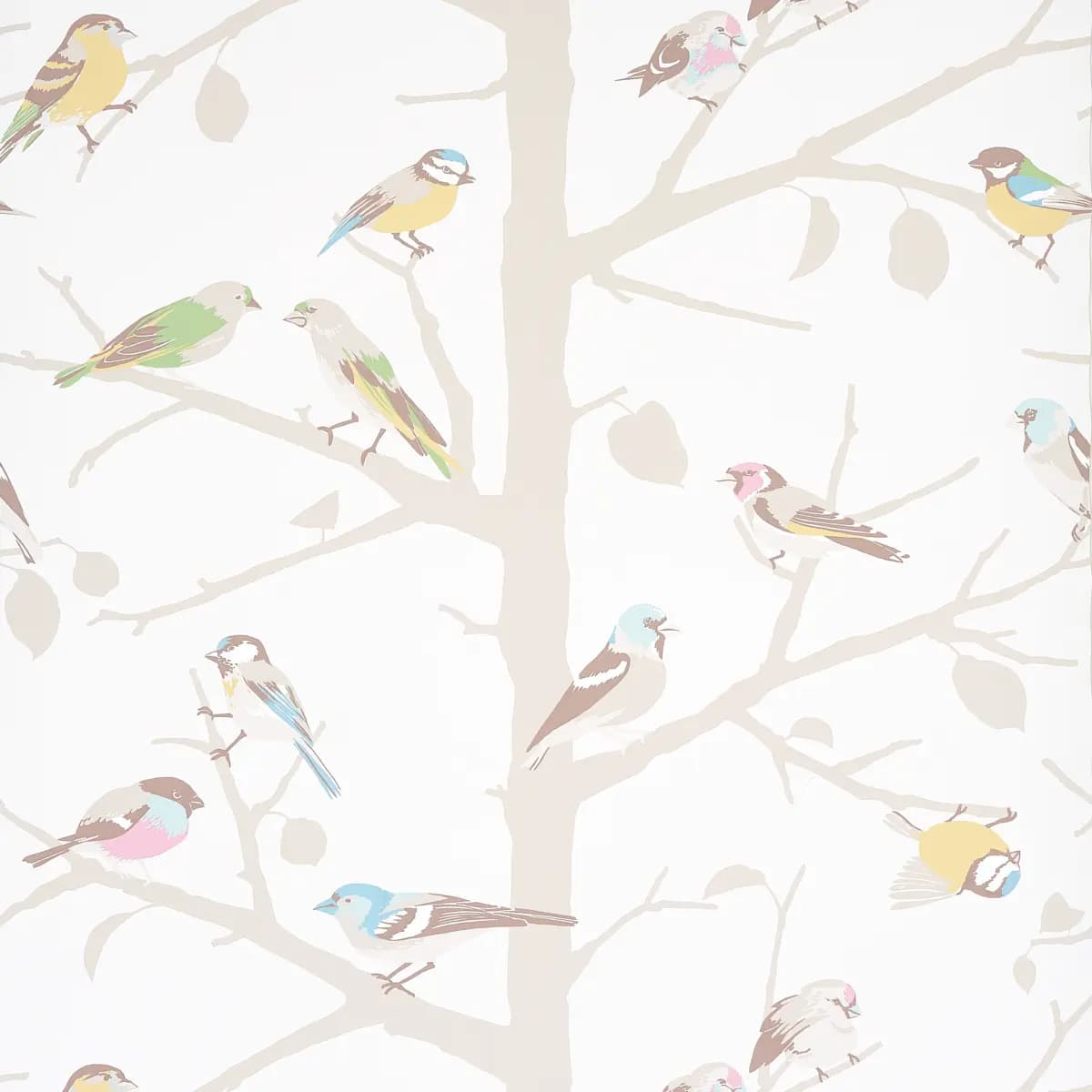 A-TWITTER_ SOFT MULTI