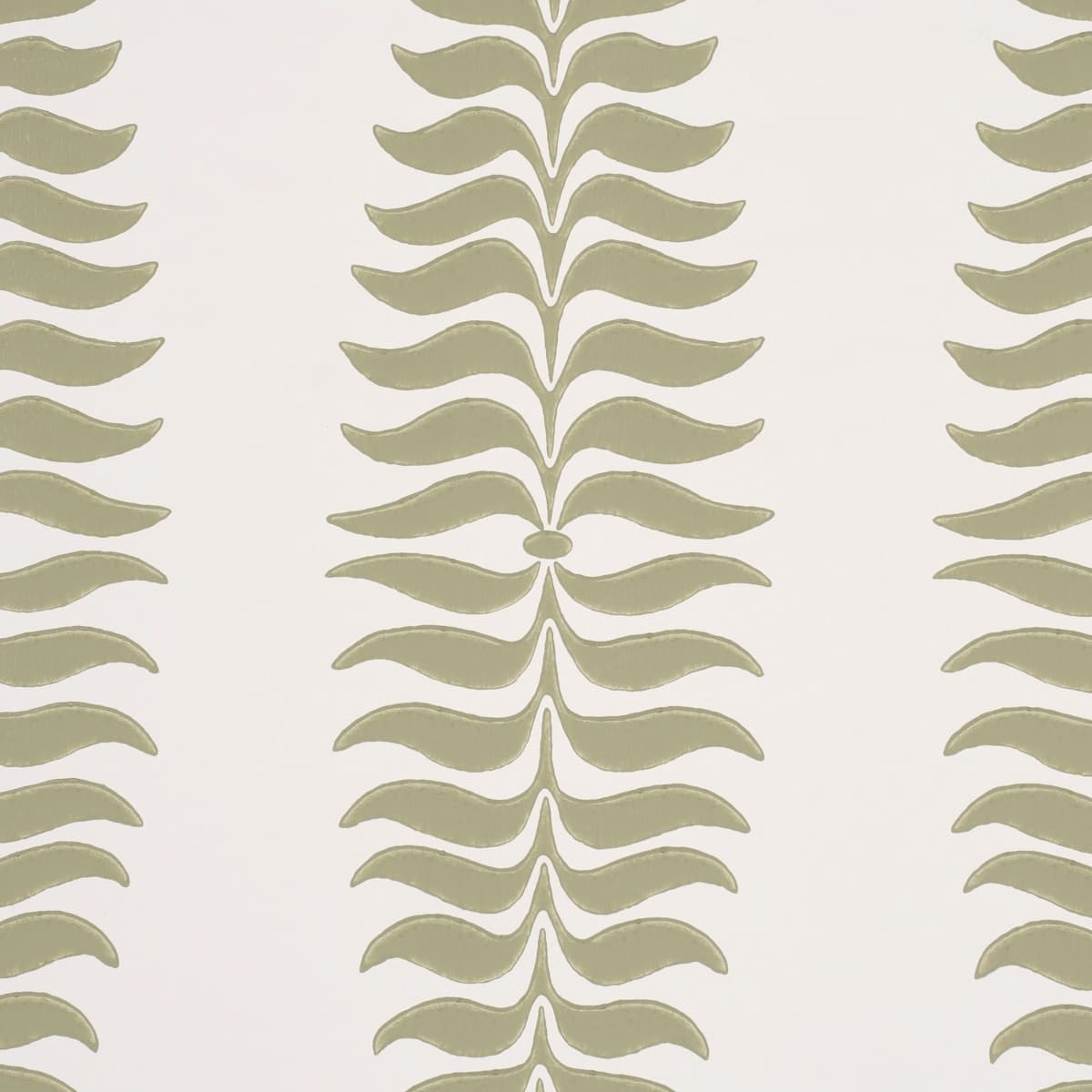Fern Tree_ SAGE