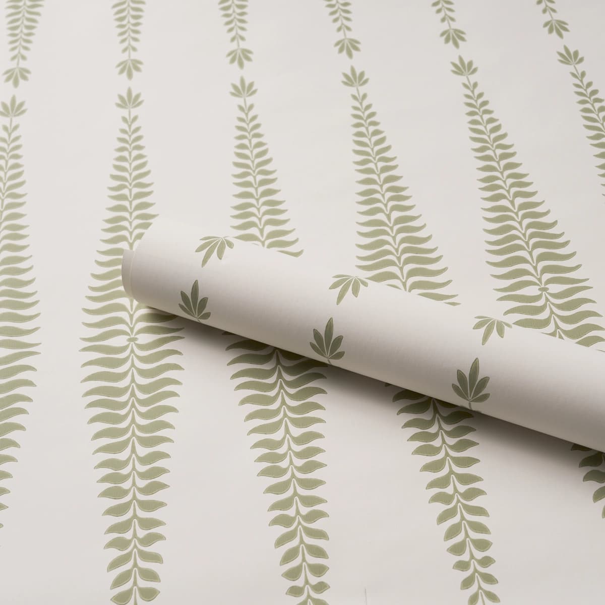 Fern Tree_ SAGE