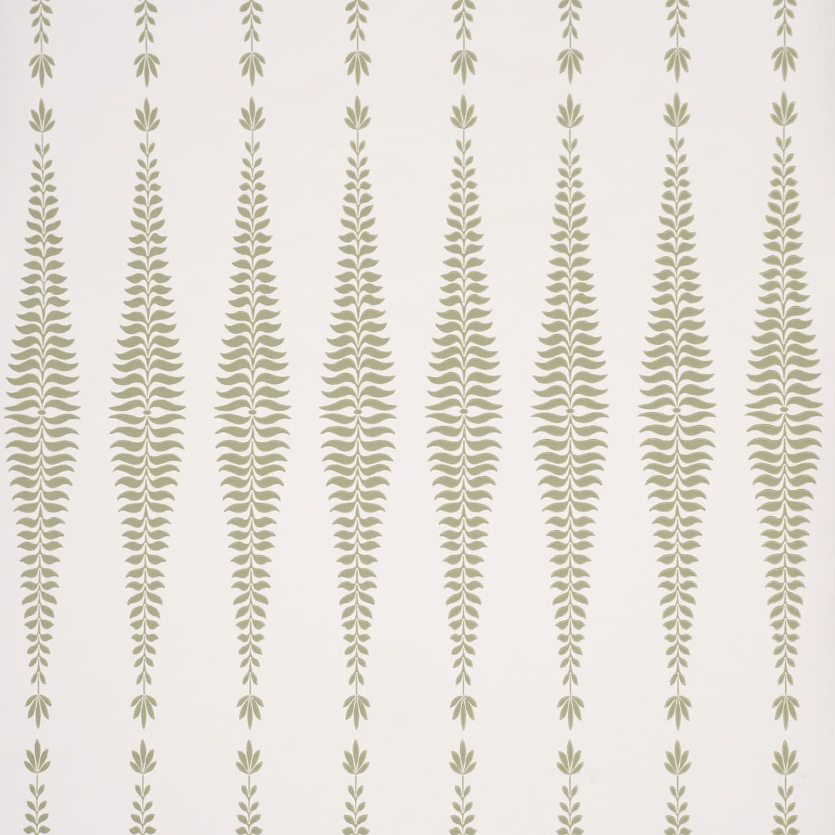 Fern Tree_ SAGE