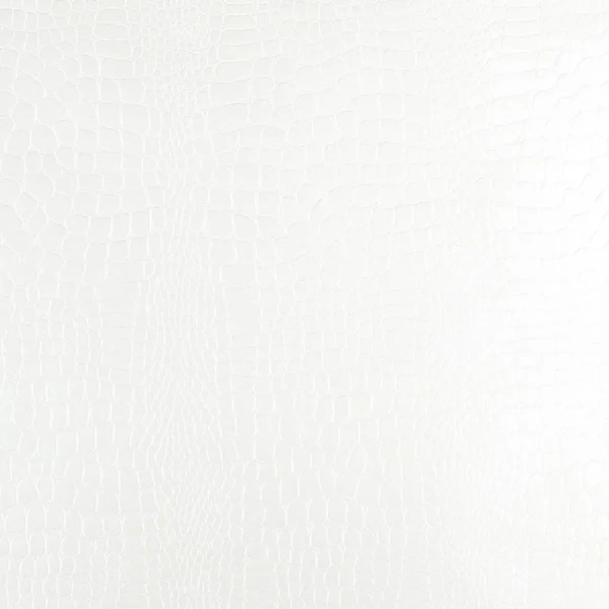 CROCODILE_ WHITE
