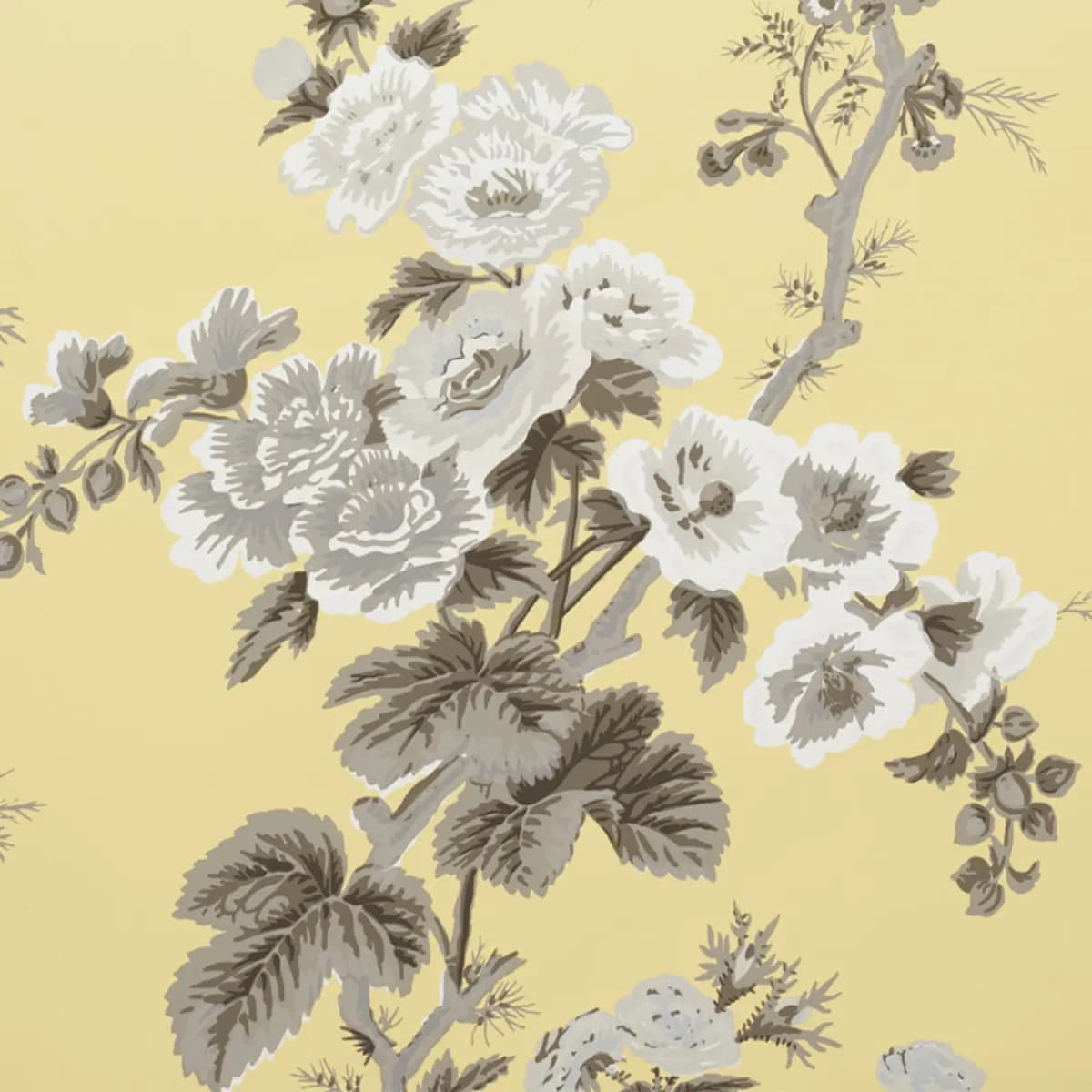 PYNE HOLLYHOCK_ BUTTERCUP
