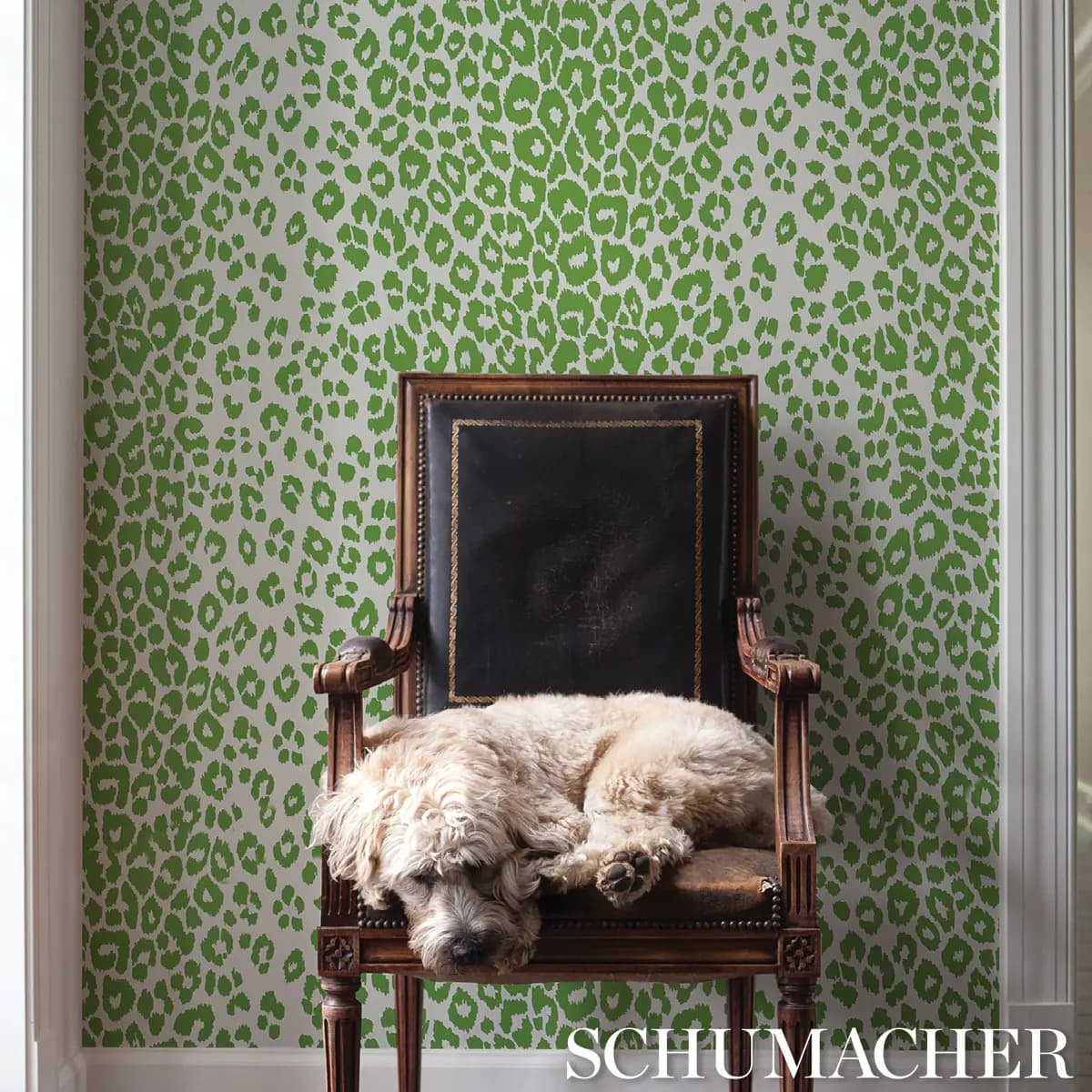 ICONIC LEOPARD_ GREEN