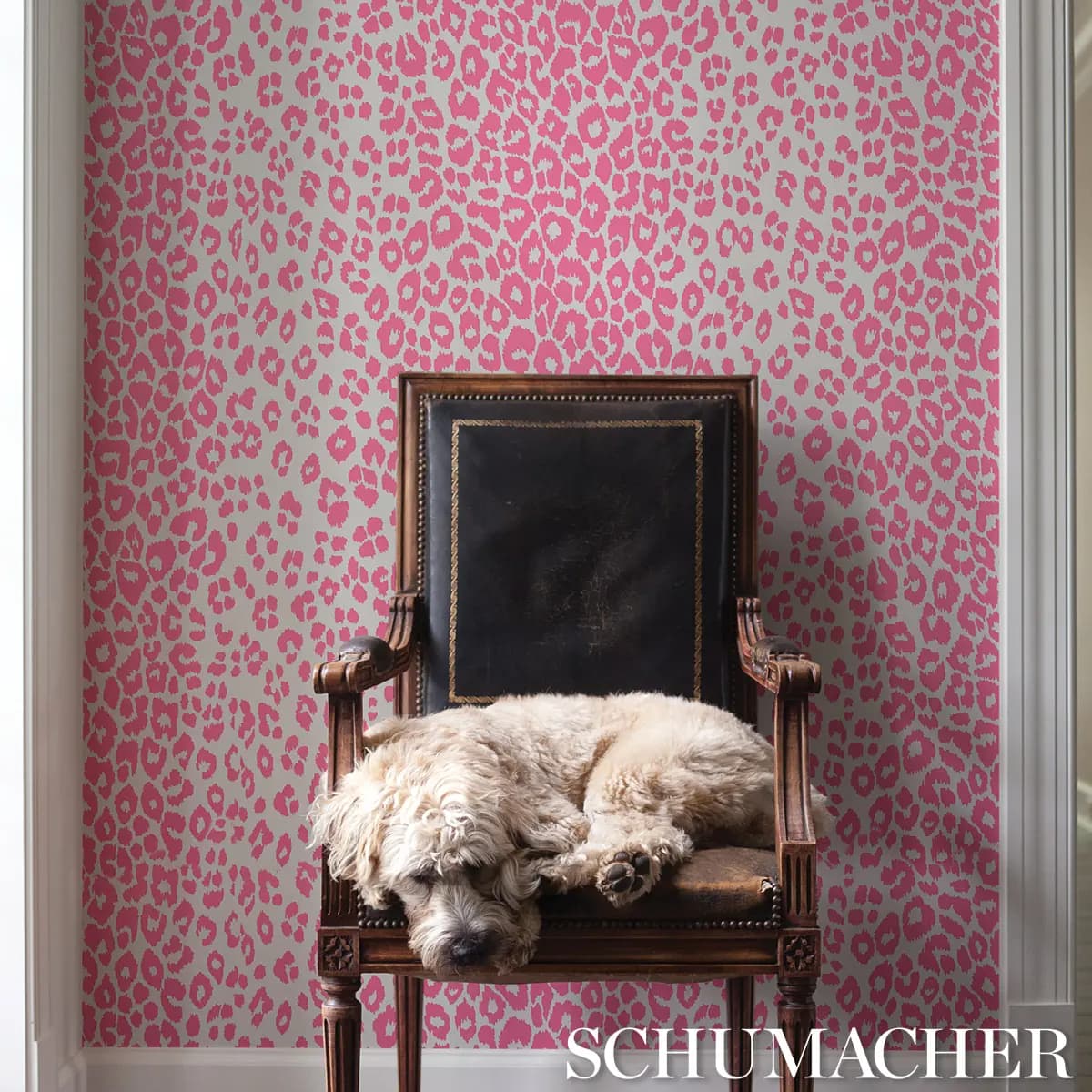 ICONIC LEOPARD_ PINK