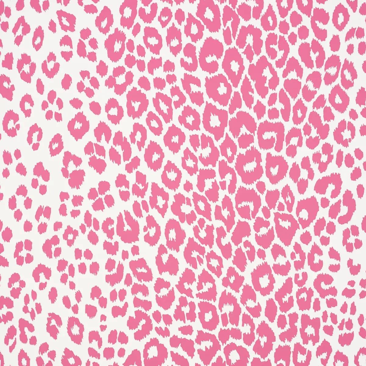 ICONIC LEOPARD_ PINK