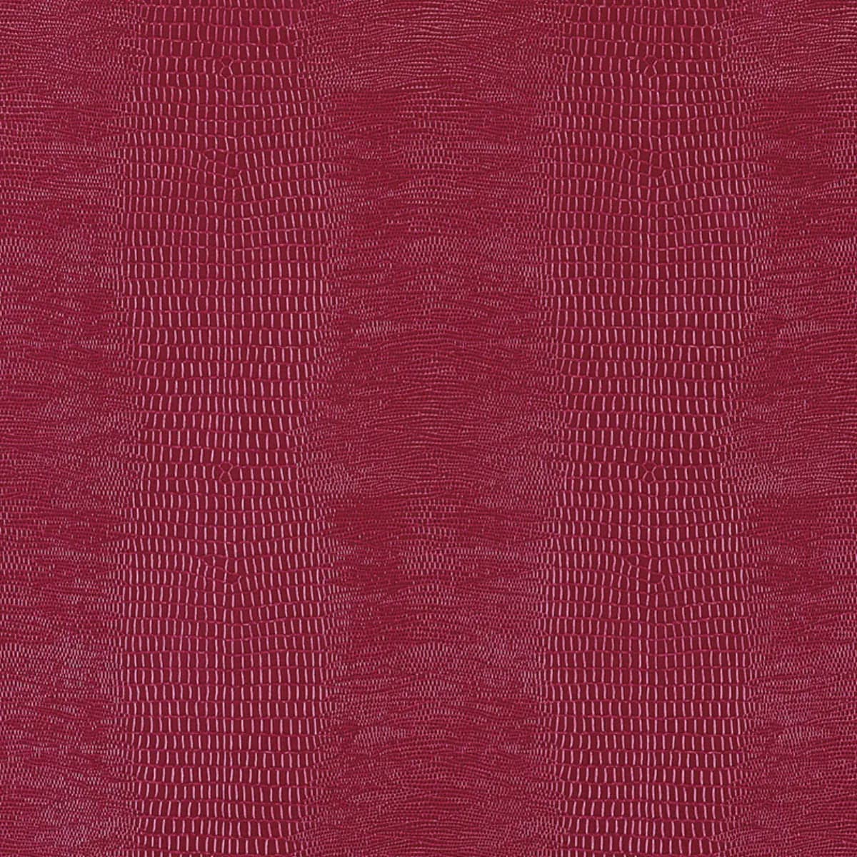Komodo_ LACQUER