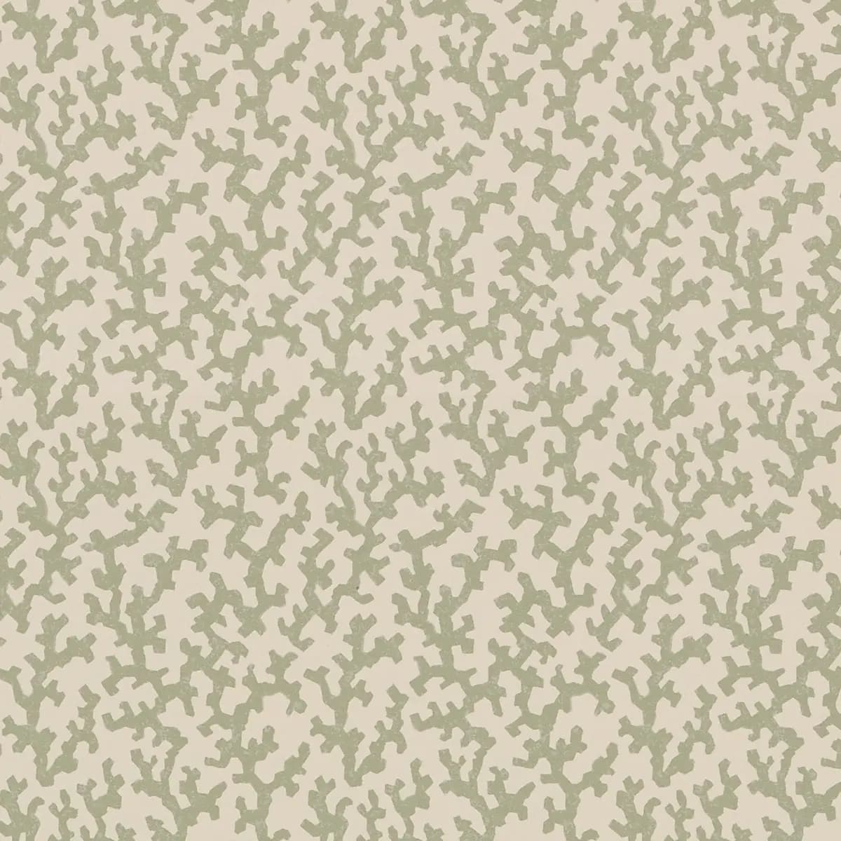 FOLLY_ SAGE