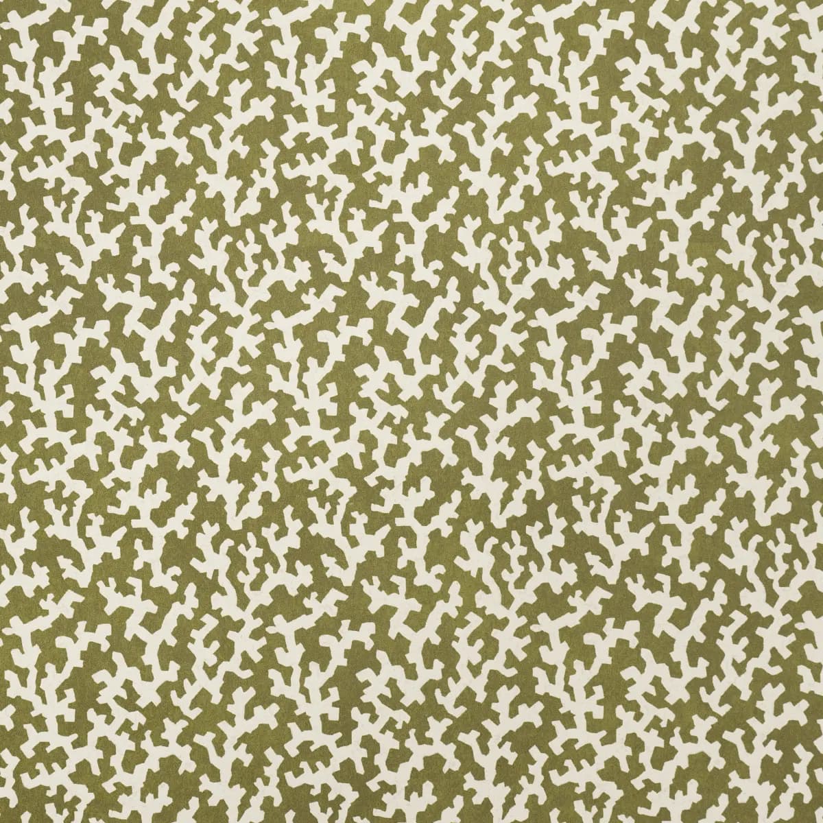 FOLLY_ OLIVE