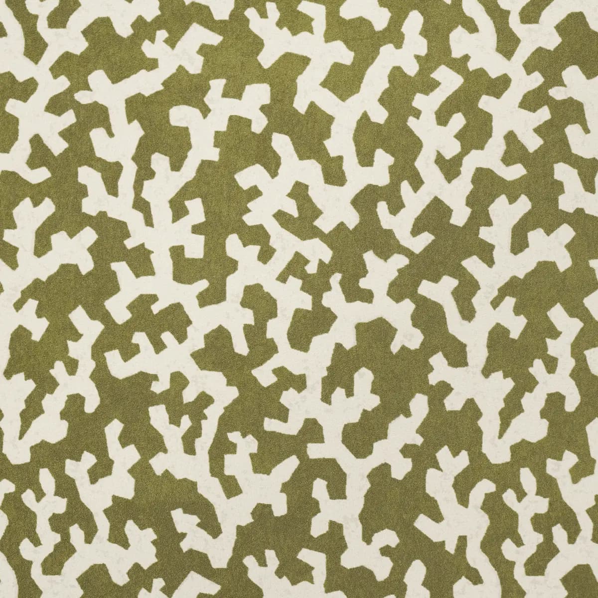 FOLLY_ OLIVE