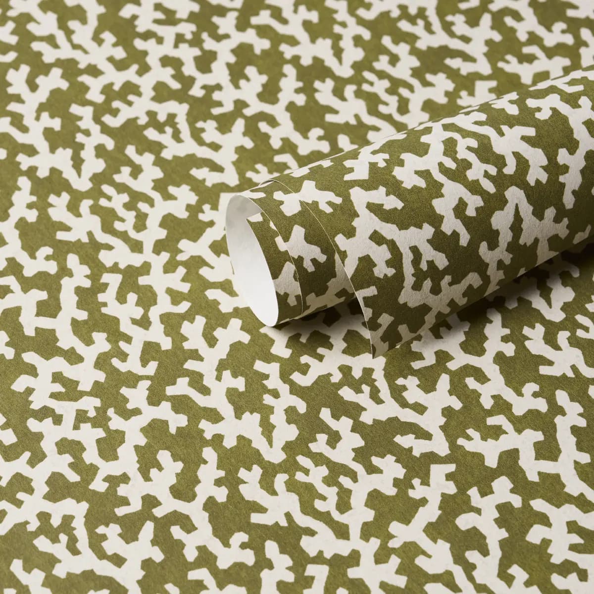 FOLLY_ OLIVE