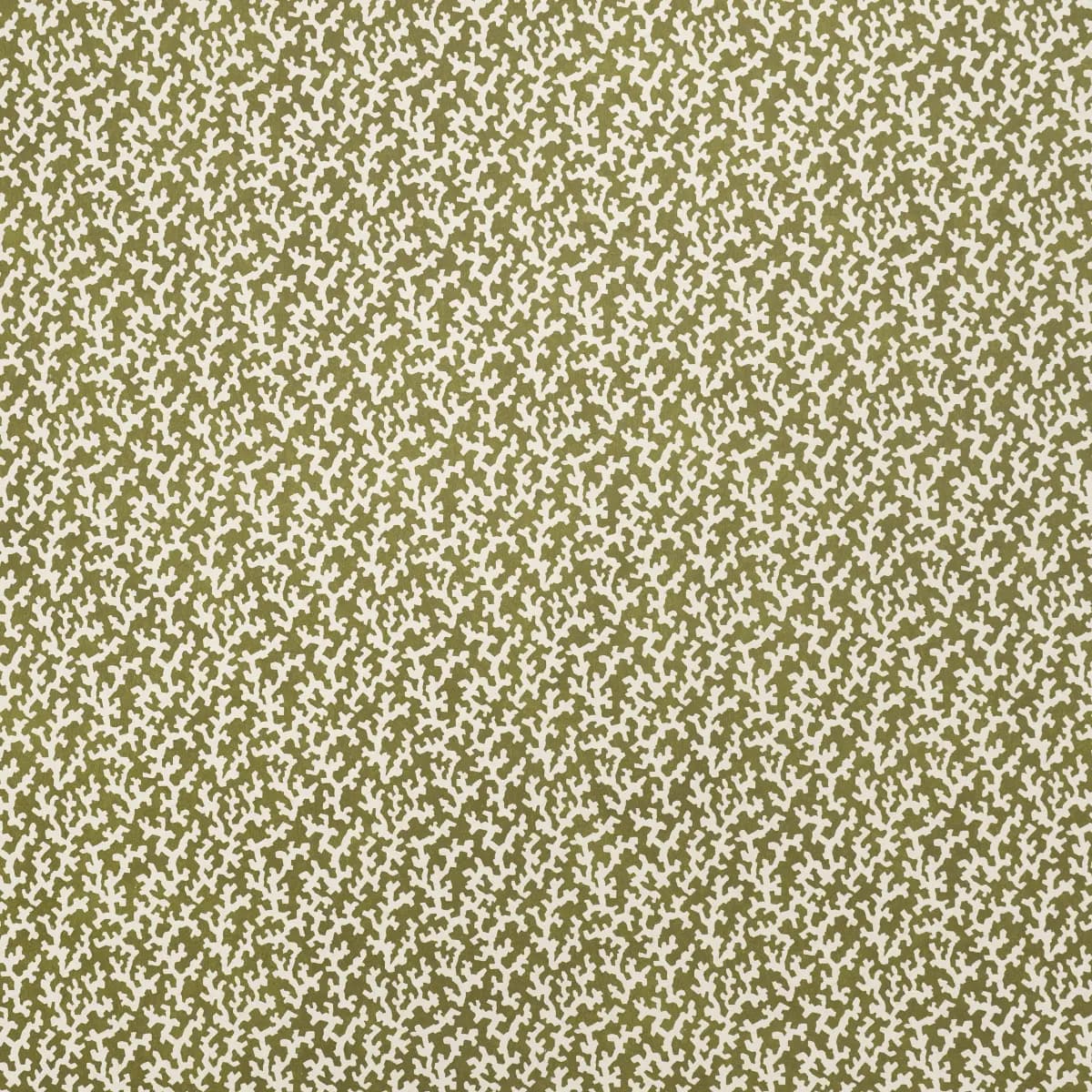 FOLLY_ OLIVE