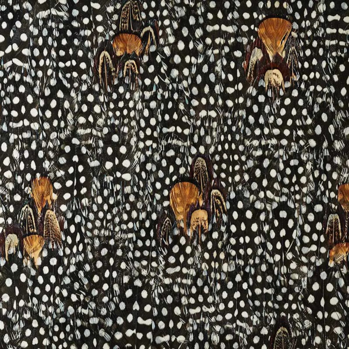 ARGENTITE_ CORAL