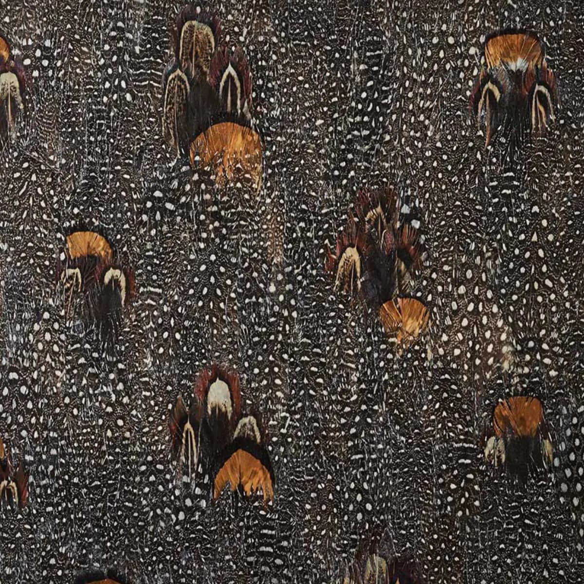 LODESTONE_ CORAL