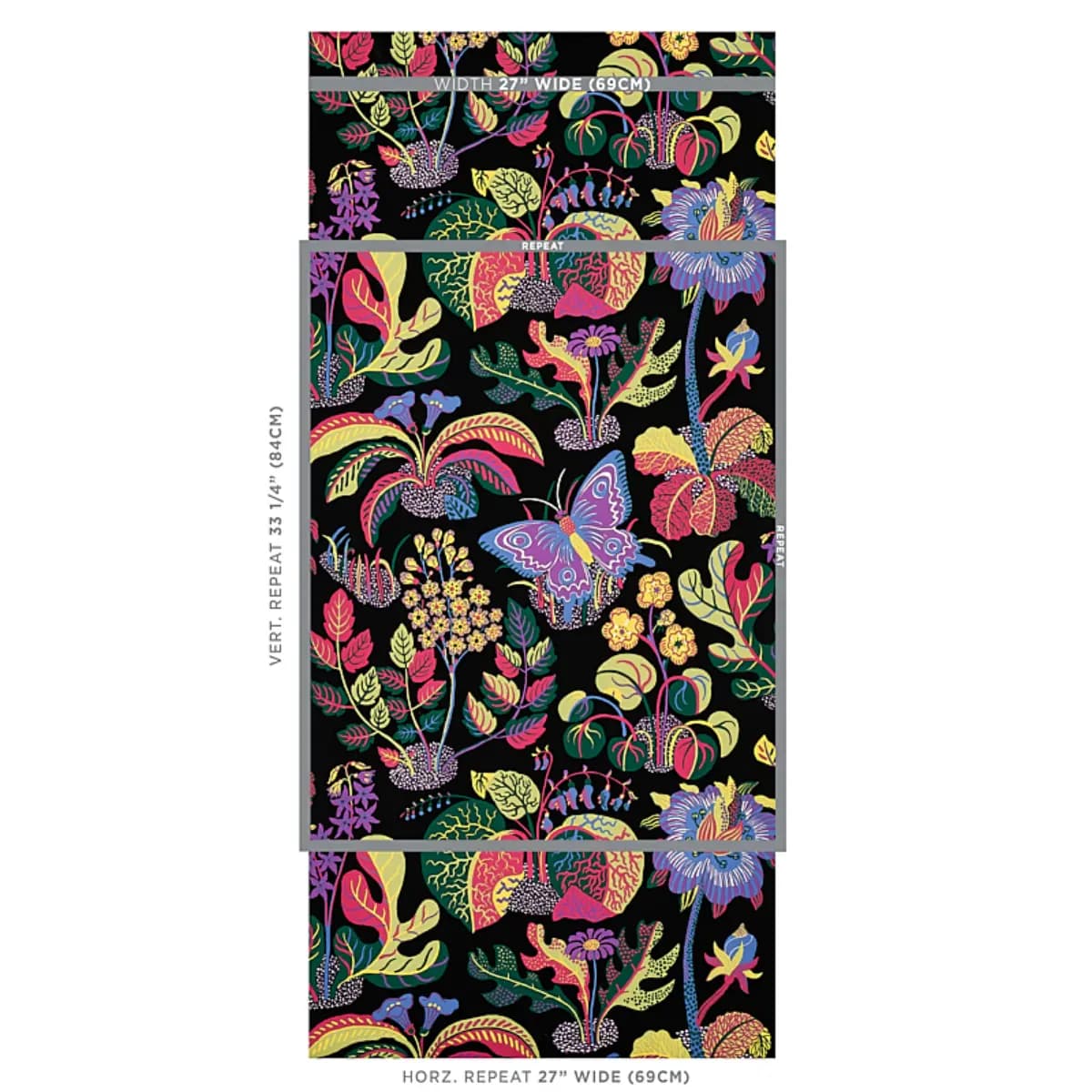 EXOTIC BUTTERFLY_ BLACK