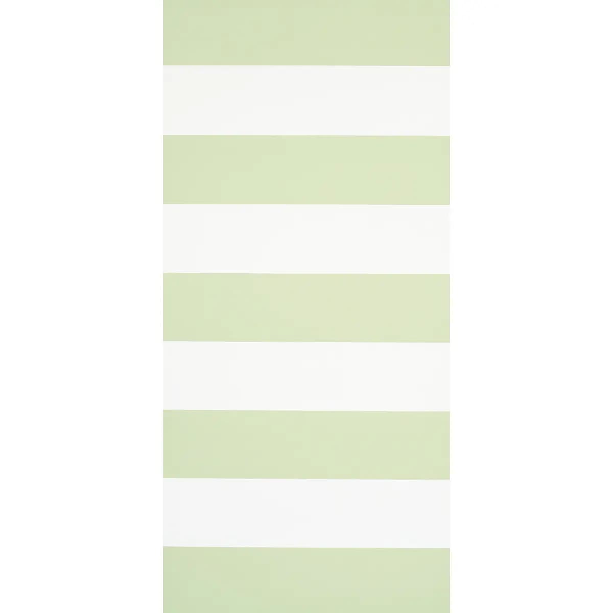 BAXTER STRIPE_ GREEN