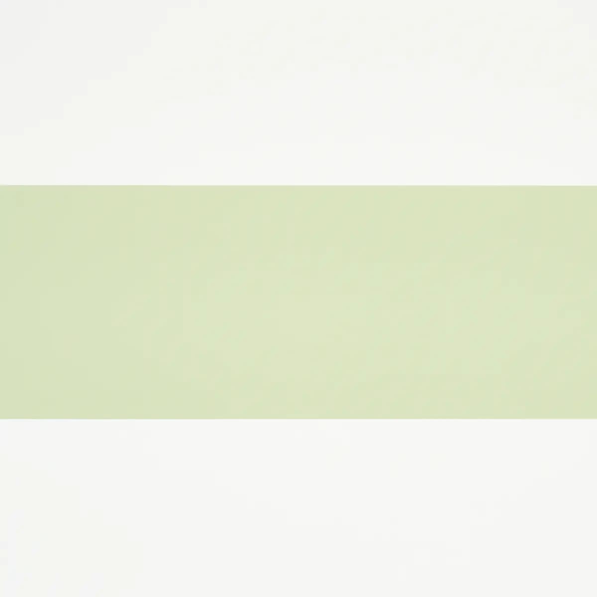 BAXTER STRIPE_ GREEN