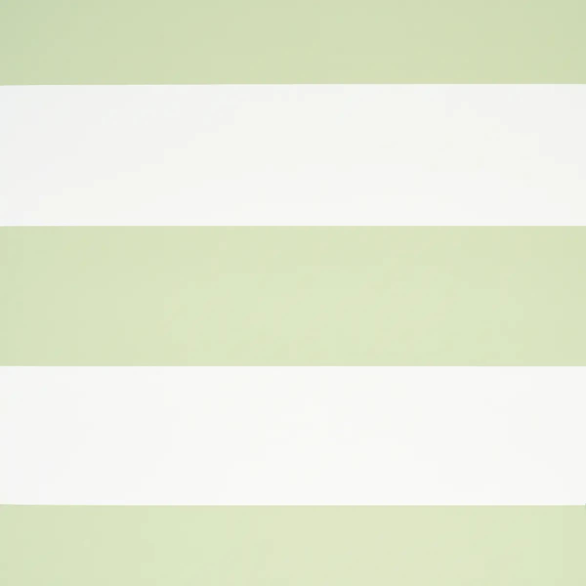 BAXTER STRIPE_ GREEN