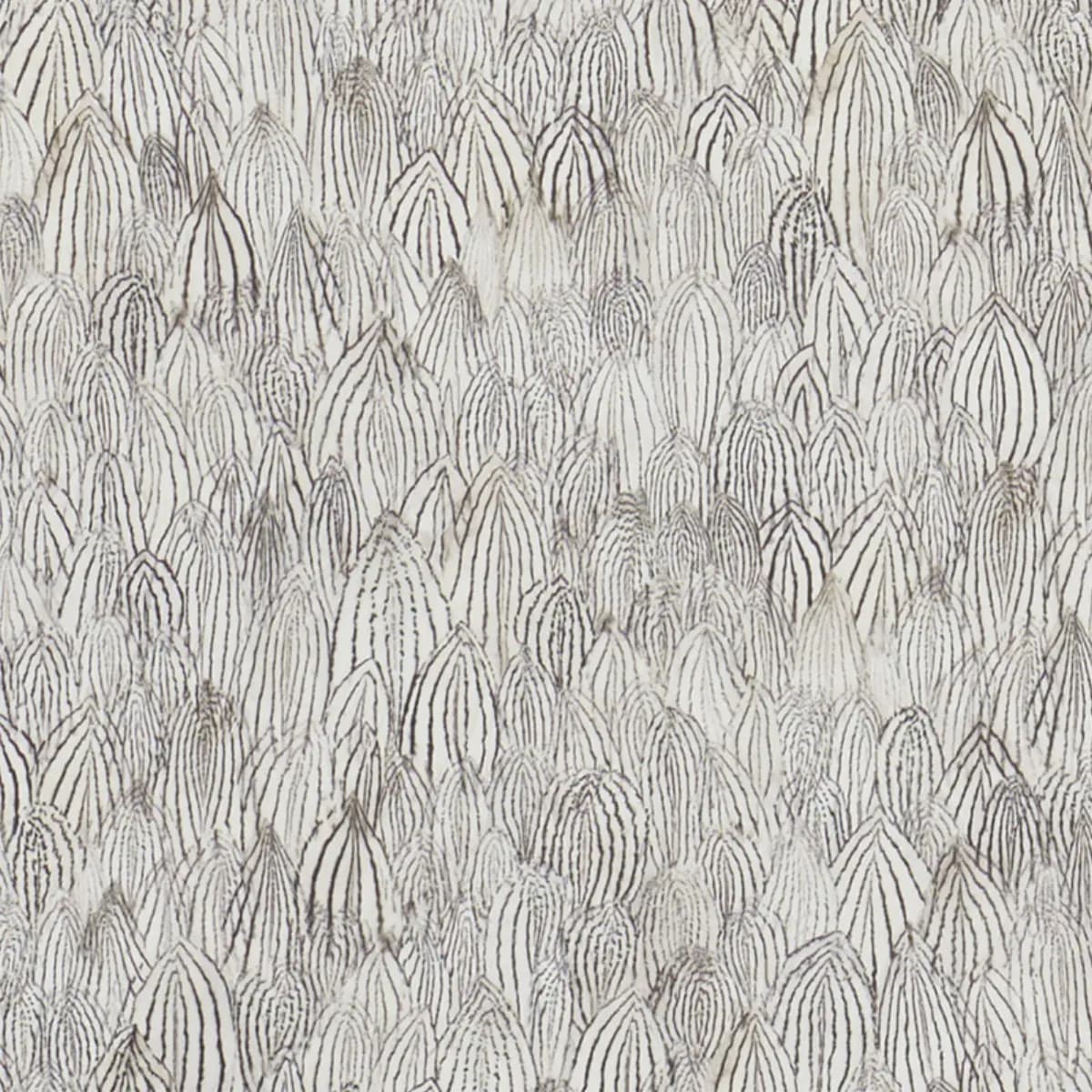 Feathers_ ZEBRA