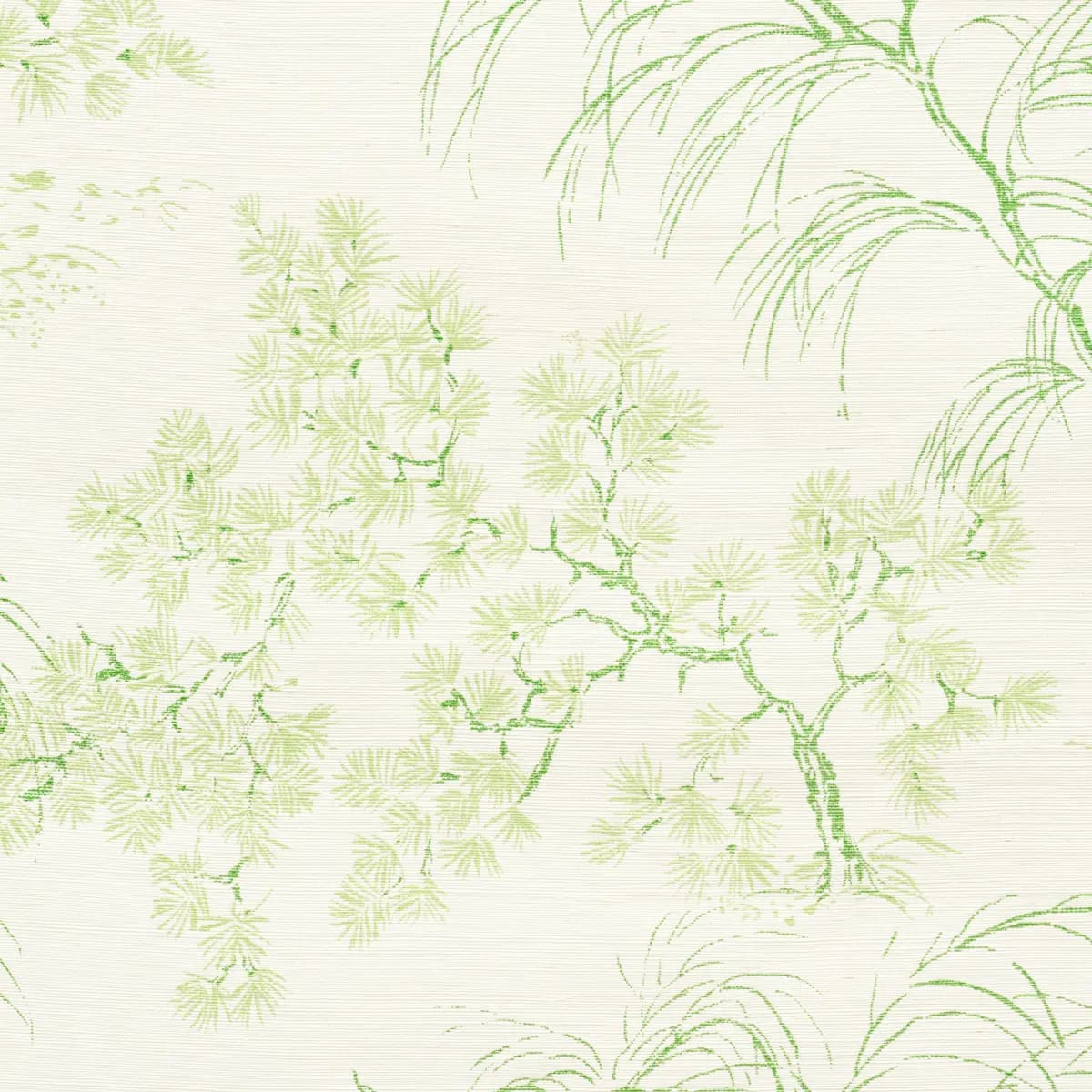 MORI SISAL_ LEAF