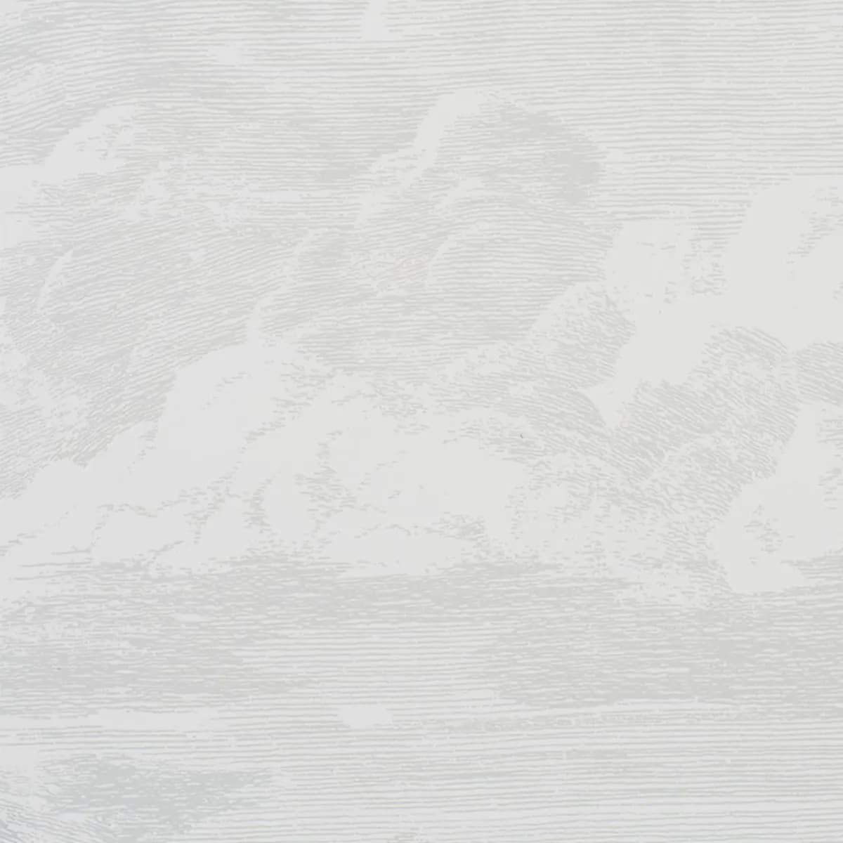 CLOUD TOILE_ QUARTZ