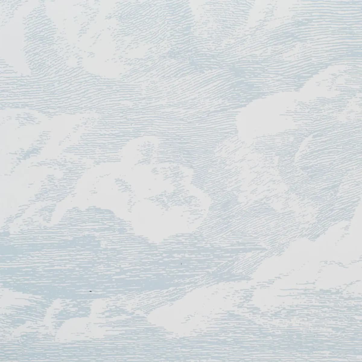 CLOUD TOILE_ MINERAL