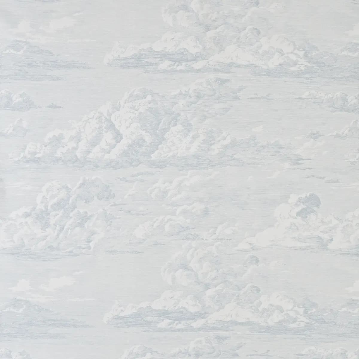 CLOUD TOILE_ MINERAL