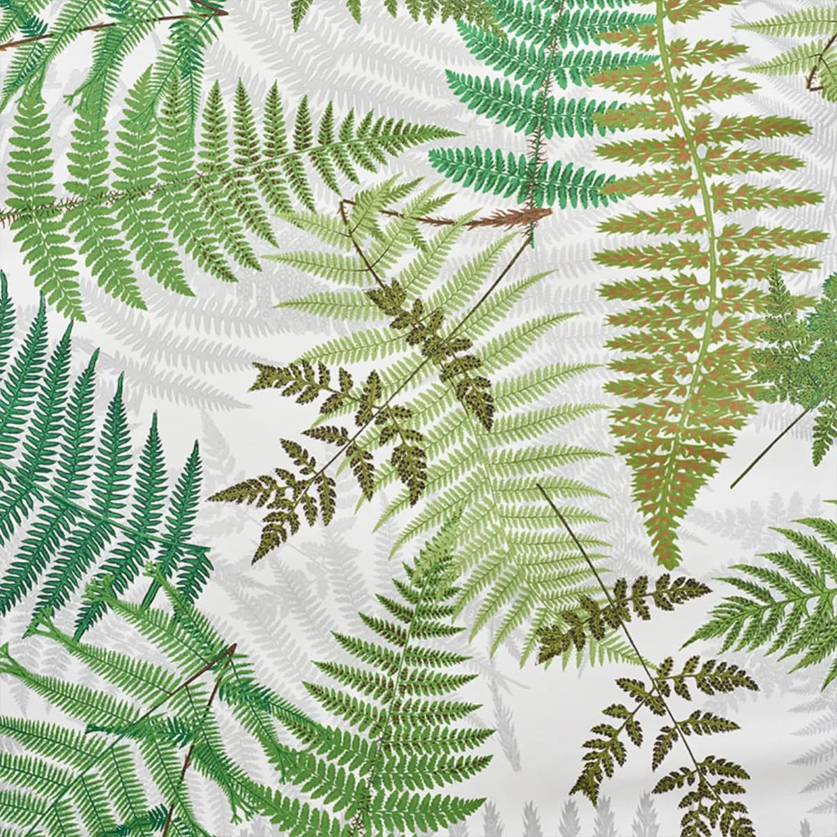 FERNARIUM_ IVORY & LEAF