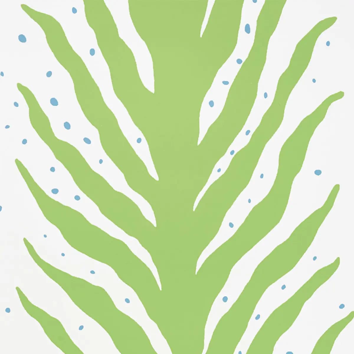 CREEPING FERN_ MOSS