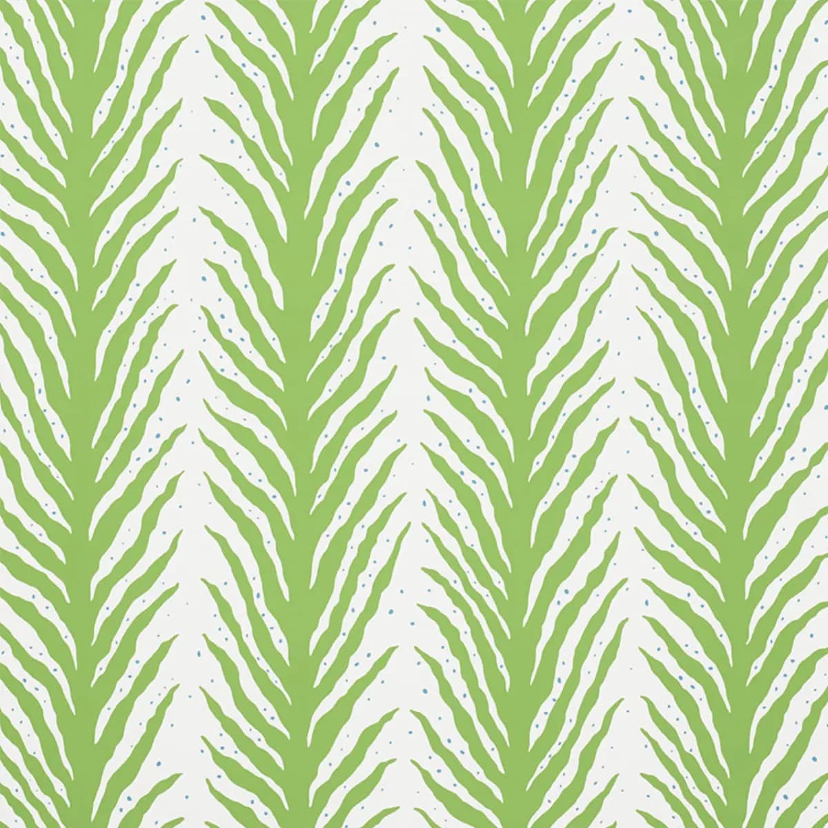 CREEPING FERN_ MOSS