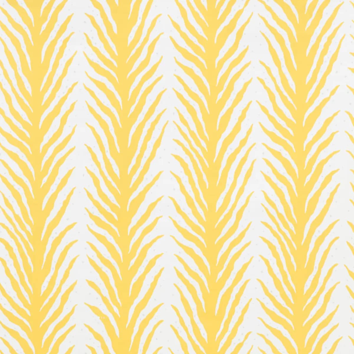 CREEPING FERN_ LEMONADE