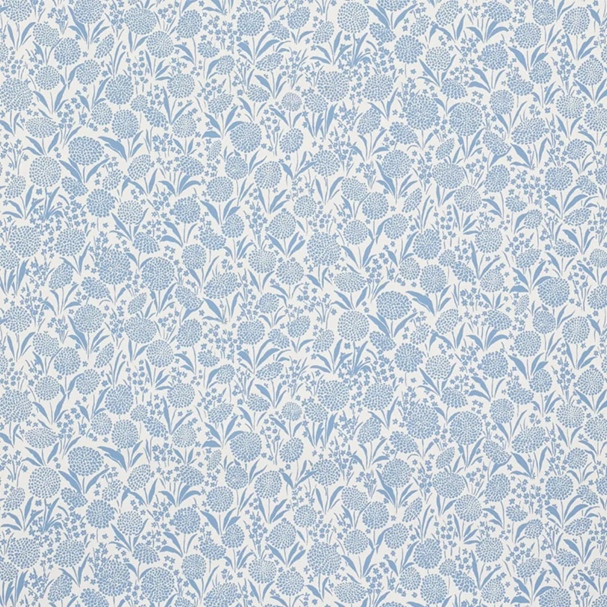 CHRYSANTHEMUM_ CHAMBRAY