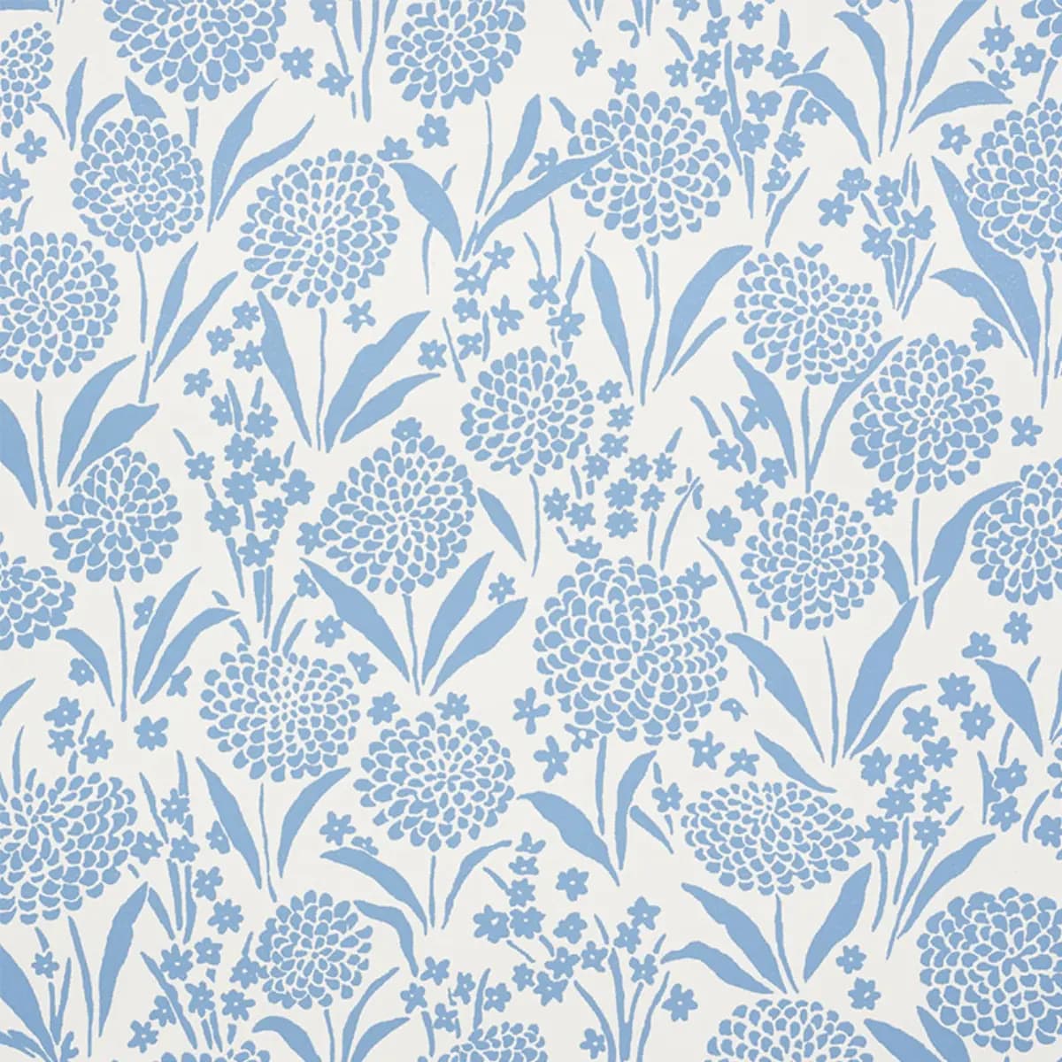 CHRYSANTHEMUM_ CHAMBRAY