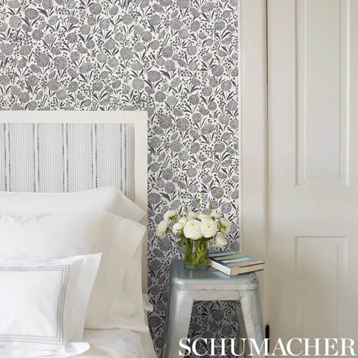 Chrysanthemum_ BLUE