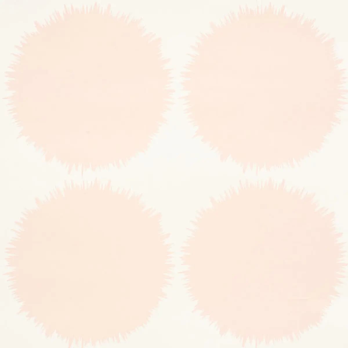 FUZZ_ BLUSH