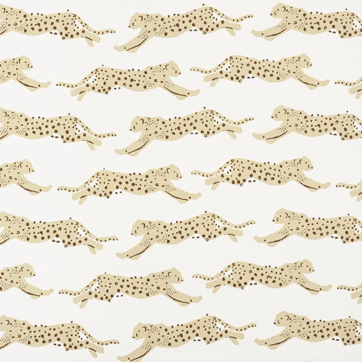 LEAPING LEOPARDS_ SAND