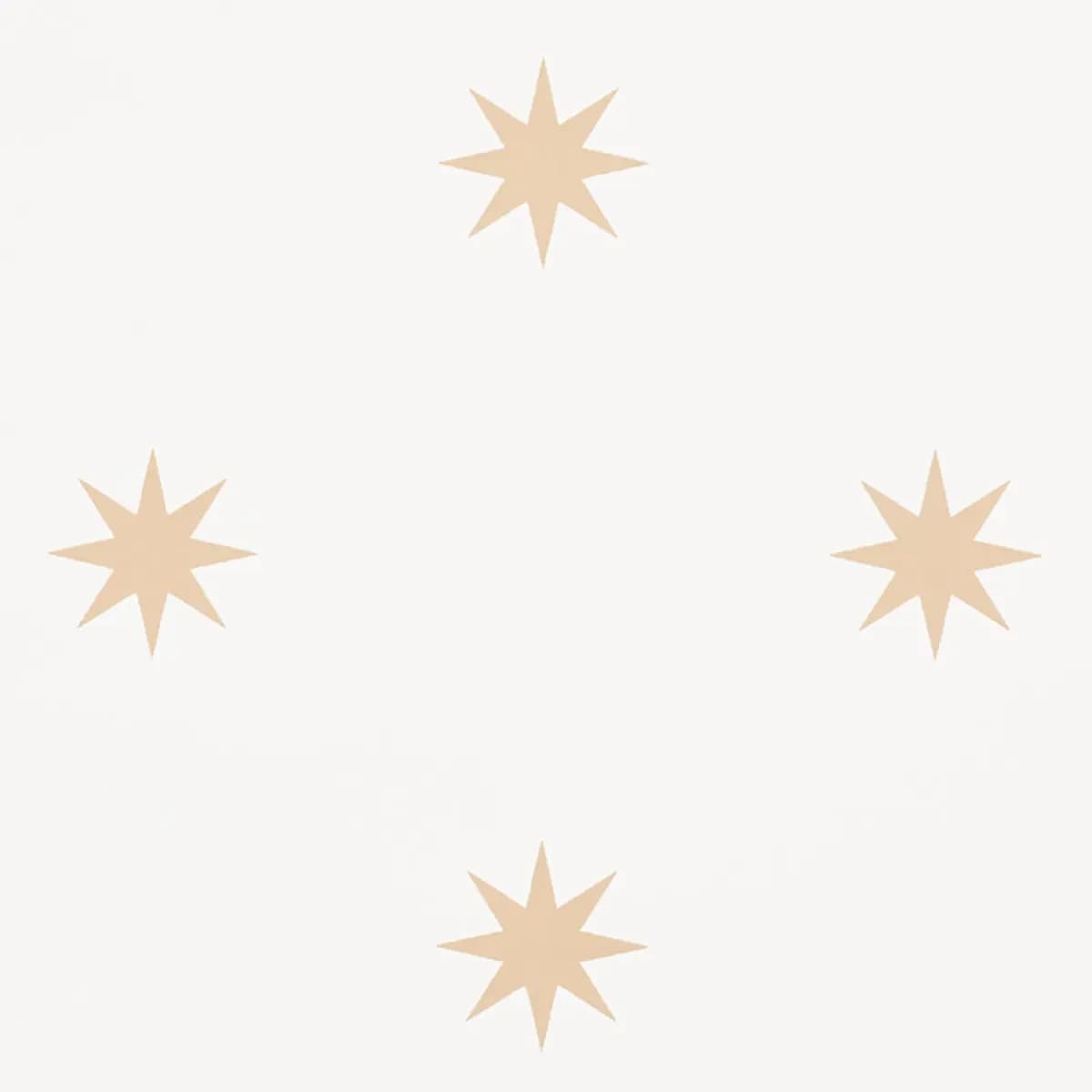 STARGAZE_ BRONZE