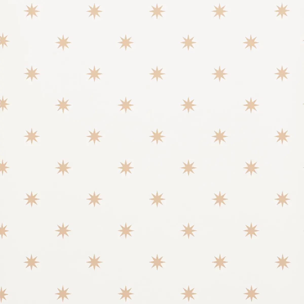 STARGAZE_ BRONZE