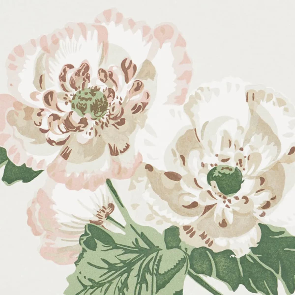 BETTY_ QUIET PINK