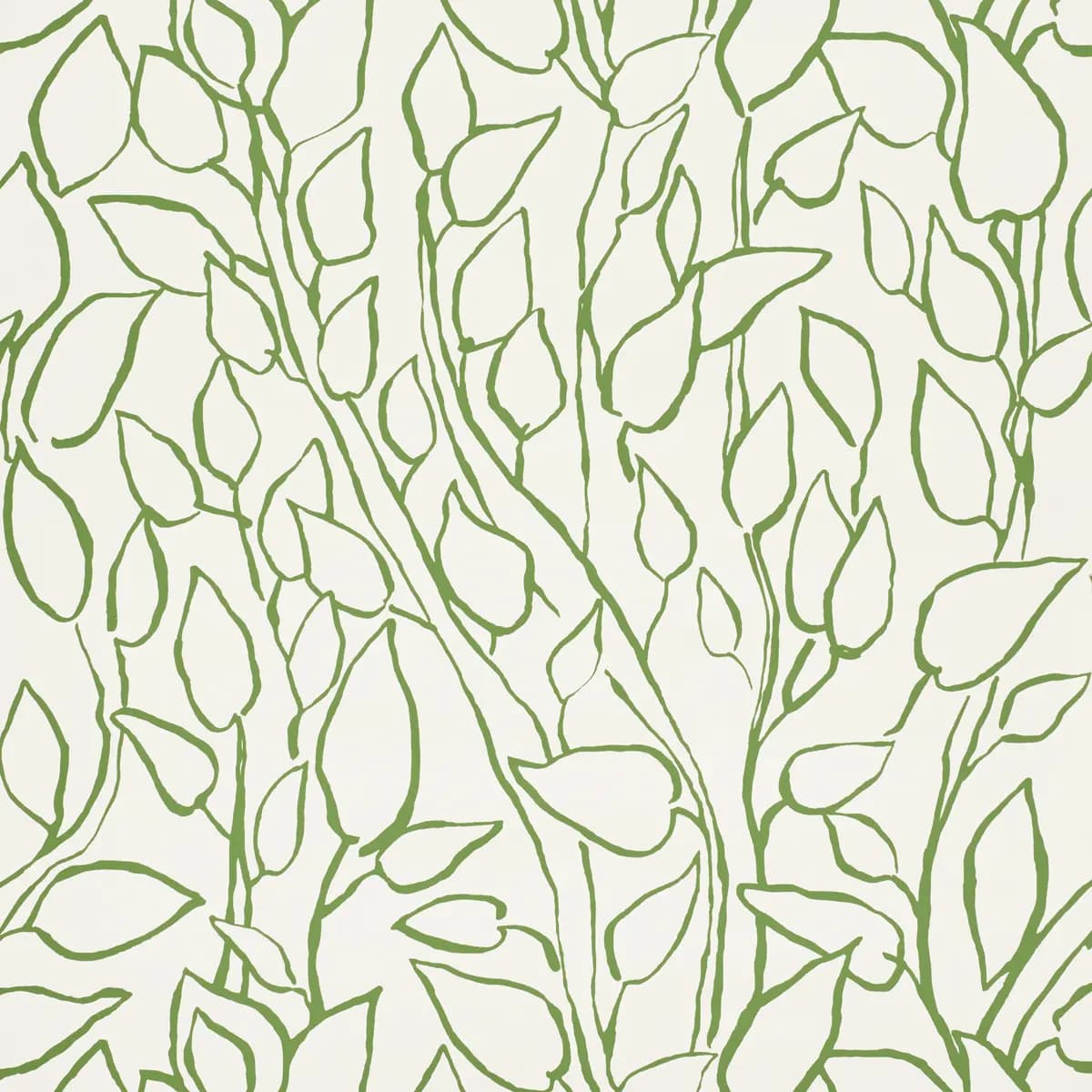 SOLANDRA VINE_ LEAF