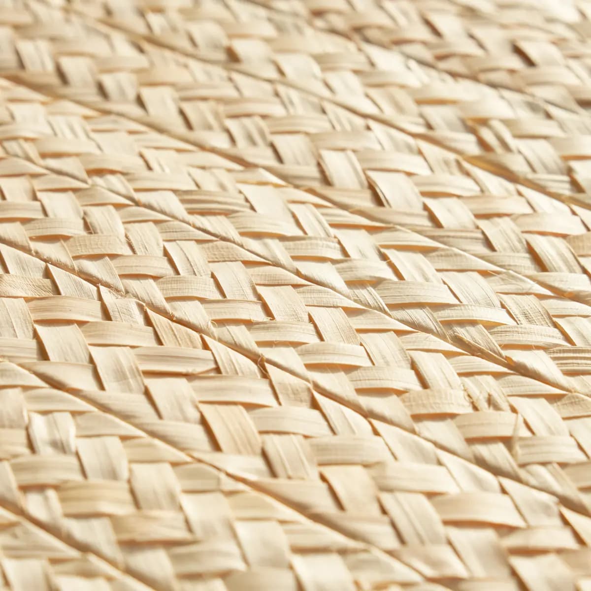 BRAIDED BURI_ NATURAL