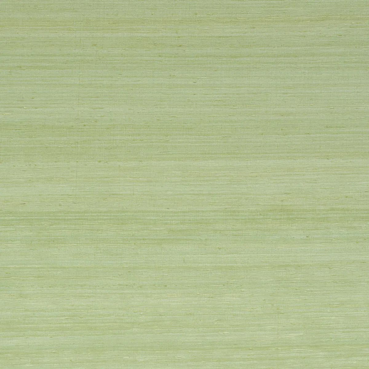 SILK STRIE_ LEAF