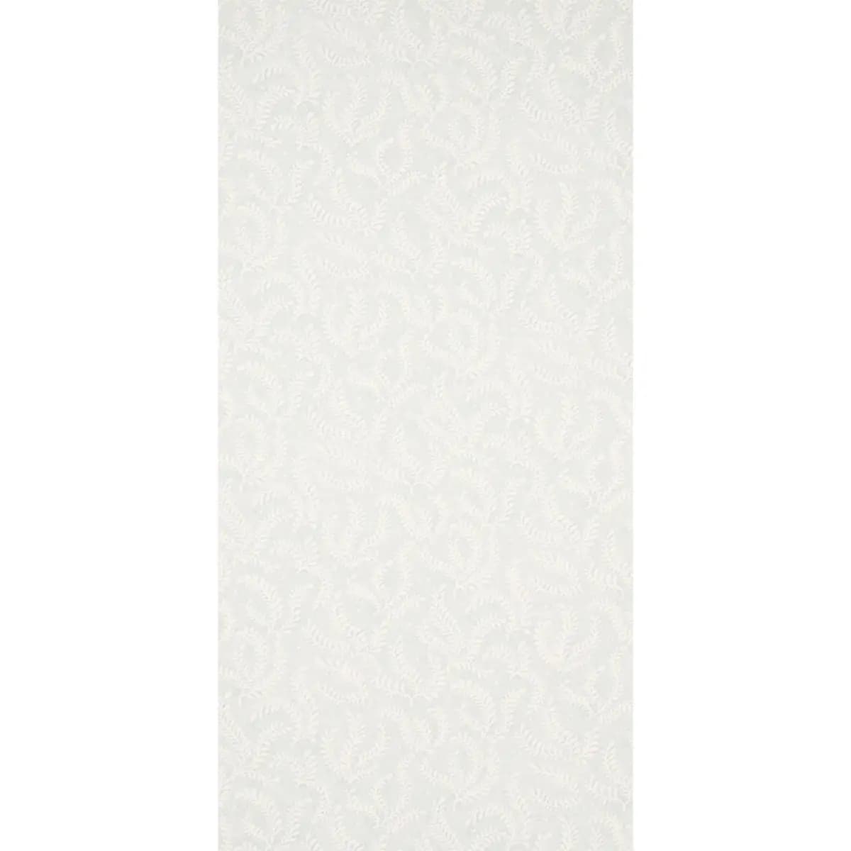 ETCHED FERN_ SKY