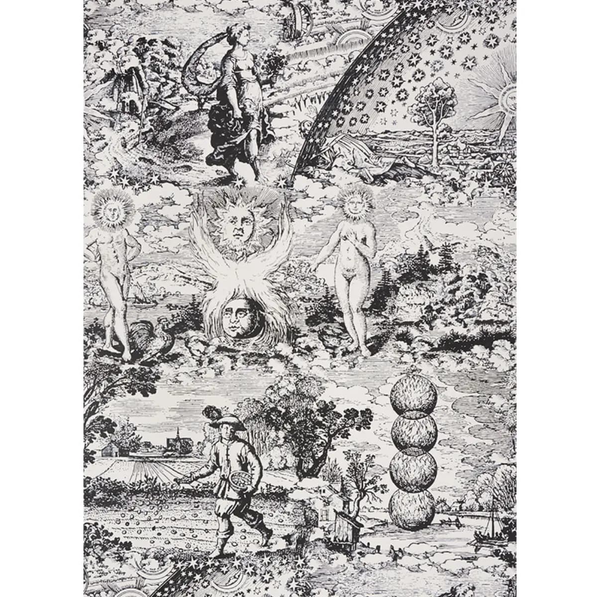 Modern Toile_ BLACK