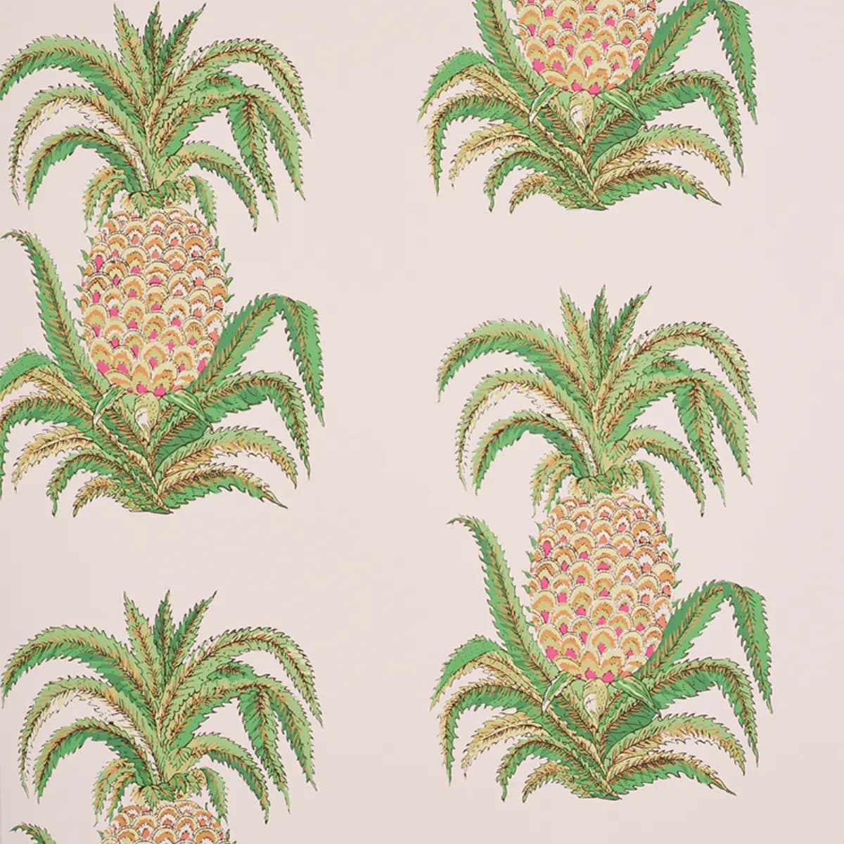 PINEAPPLES_ BLUSH